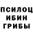 Галлюциногенные грибы мухоморы Romualds Gricmans