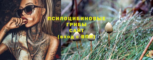 соль ск Вязники
