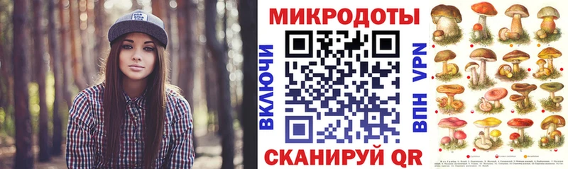 закладка мориарти официальный сайт Галлюциногенные грибы Psilocybe Одинцово мега